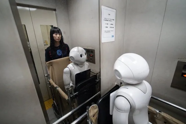 Tomomi Ota and her humanoid robot Pepper in a elevator at a subway station in Tokyo, Japan, 27 June 2016. (Photo by Franck Robichon/EPA)