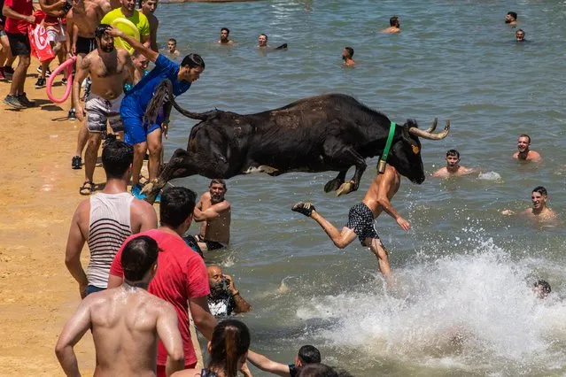 A bull throws himself into the sea and tries to catch up with participants during the “Bous a la Mar” festival on July 17, 2022 in Denia, Spain. The bull-evading event at DÈnia's port is part of an annual festival honoring of the SantÌsima Sangre (SantÌssima Sang), patron saint of DÈnia. (Photo by Zowy Voeten/Getty Images)