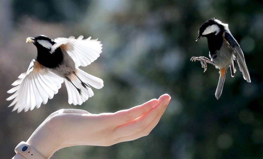 Pictures of the Year 2023, Part 168/224