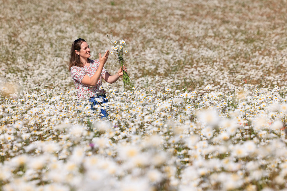 Some Photos: In Flowers