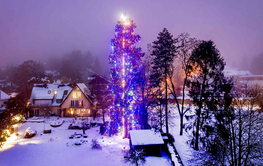 Pictures of the Year 2023, Part 212/224