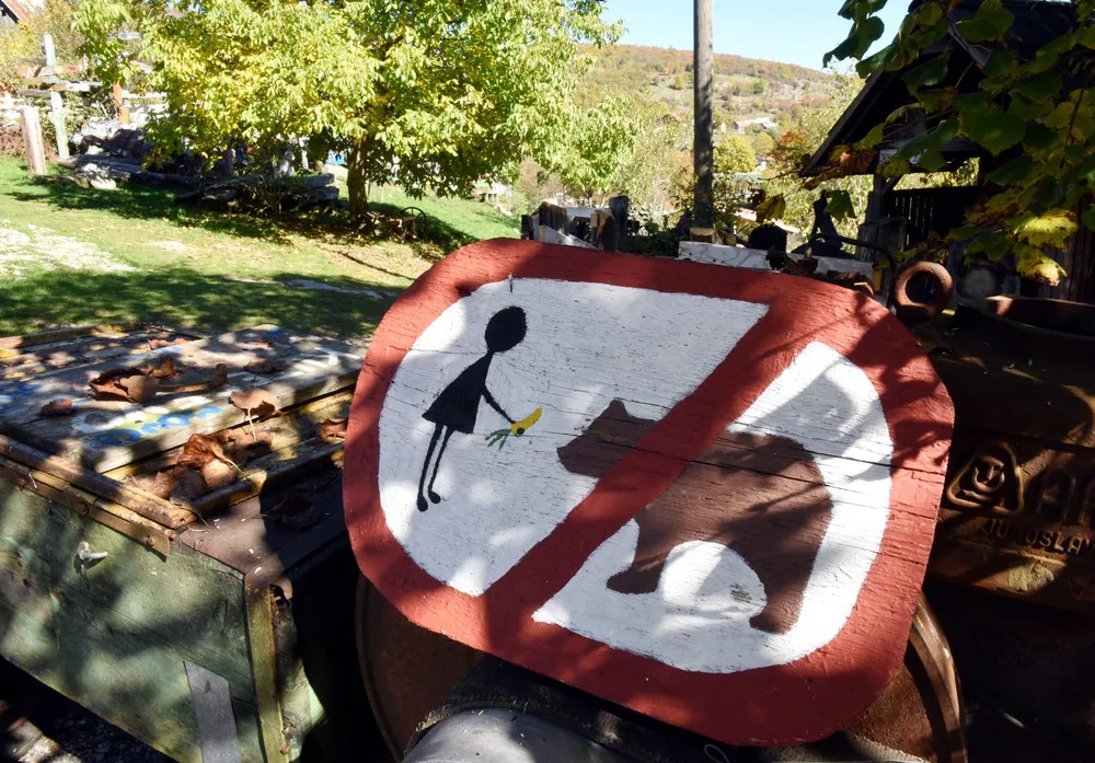 The Day in Photos – November 5, 2017