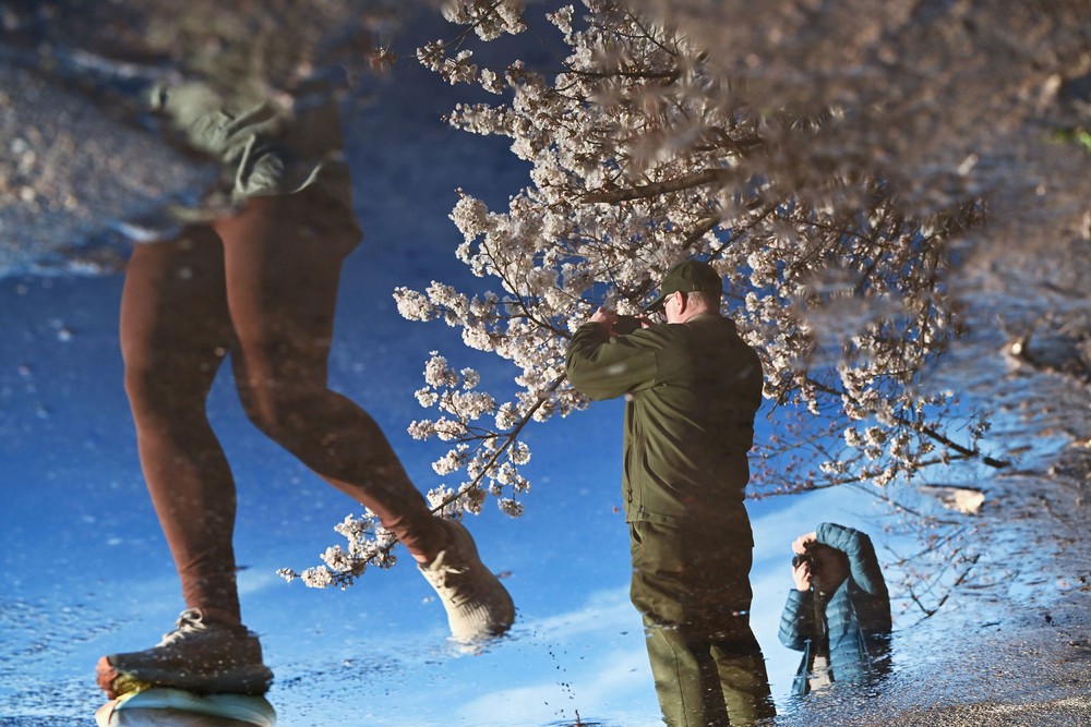 Some Photos: Reflection