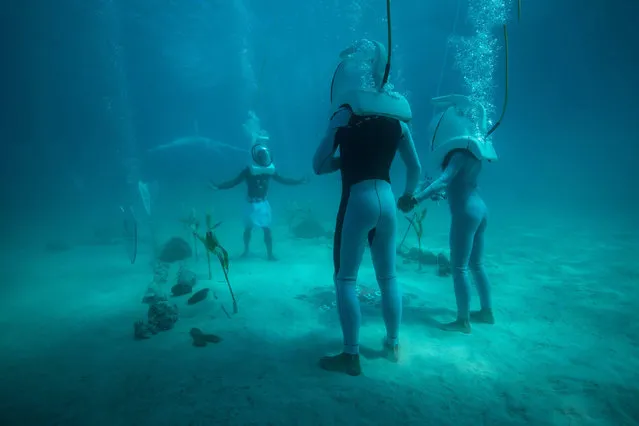 In a picture taken with an underwater camera, a couple stands in front of a Polynesian priest during their underwater wedding ceremony on October 25, 2014 in Bora-Bora, in French Polynesia. The ceremony lasts twenty minutes and costs around 2700 euros. (Photo by Ben Thouard/AFP Photo)