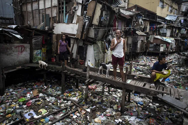 Residents rest on a wooden bridge over a garbage- filled waterway in Manila, Philippines on January 17, 2018. (Photo by Noel Celis/AFP Photo)
