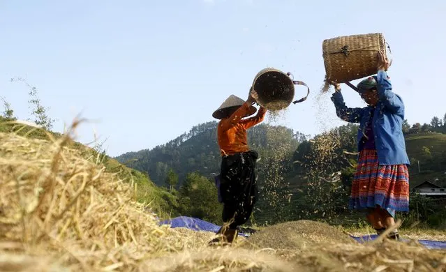 Vietnamese farmers of Hmong ethnic tribe pour rice into wind to separate low quality grains during the harvest season in Mu Cang Chai, northwest of Hanoi October 3, 2015. (Photo by Reuters/Kham)