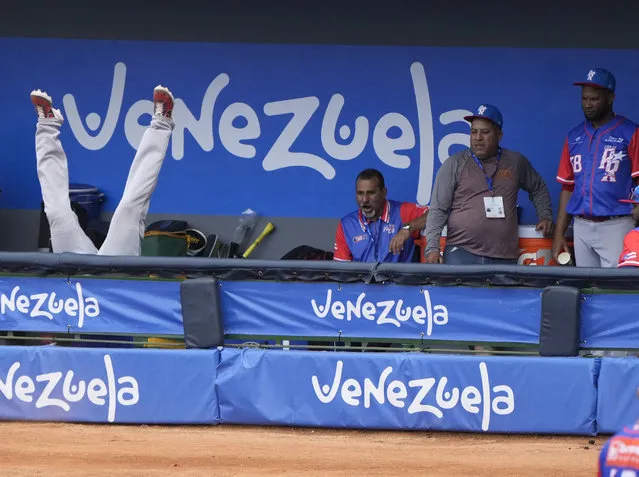 Puerto Rico's Edwin Díaz falls upside down into the dugout chasing a ball, during a Caribbean Series baseball game against the Dominican Republic in La Guaira, Venezuela, Saturday, February 4, 2023. (Photo by Ariana Cubillos/AP Photo)