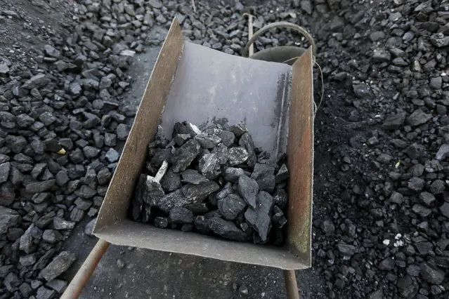 Bad quality coal is picked out at local businessman Sun Meng's small coal depot near a coal mine of the state-owned Longmay Group on the outskirts of Jixi, in Heilongjiang province, China, October 23, 2015. (Photo by Jason Lee/Reuters)