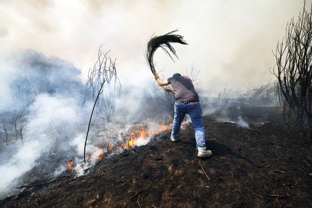 A man battles a wildfire in Veiga das Meas, northwestern Spain, Saturday, August 16, 2025. (Photo by Lalo R. Villar/AP Photo)