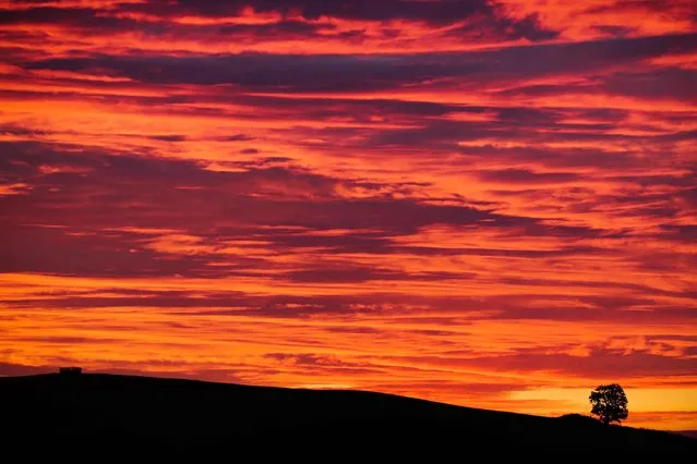 Ominous signs this morning,  October 3, 2022, according to old sayings, as a flaming red sky at Shepton Mallet in Somerset portends changes in the weather. (Photo by Jason Bryant/Apex News and Pictures)