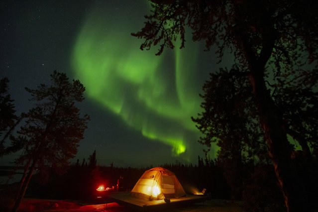 The northern lights, also known as the aurora borealis, are seen in the night sky near Yellowknife in Canada's Northwest Territories, early Wednesday, August 20, 2025. (Photo by Mark Schiefelbein/AP Photo)
