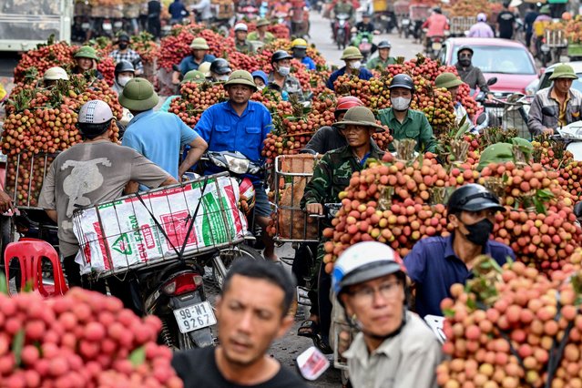 Vietnamese farmers transport harvested lychees to sell to traders at a wholesale market in Luc Ngan district of Vietnam's Bac Giang province on June 18, 2025. (Photo by Nhac Nguyen/AFP Photo)