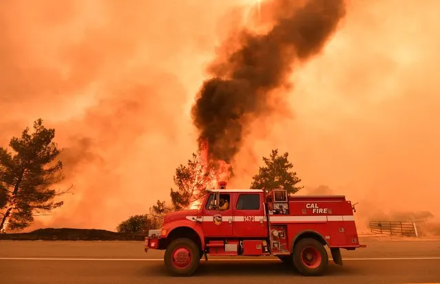 Firefighters work to control a fire as flames from the County Fire jump across Highway 20 near Clearlake Oaks, California, on July 1, 2018. (Photo by Josh Edelson/AFP Photo)