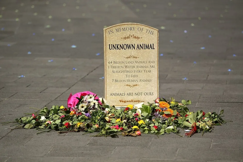 Animal Activists Hold Memorial for Dead Animals in Melbourne