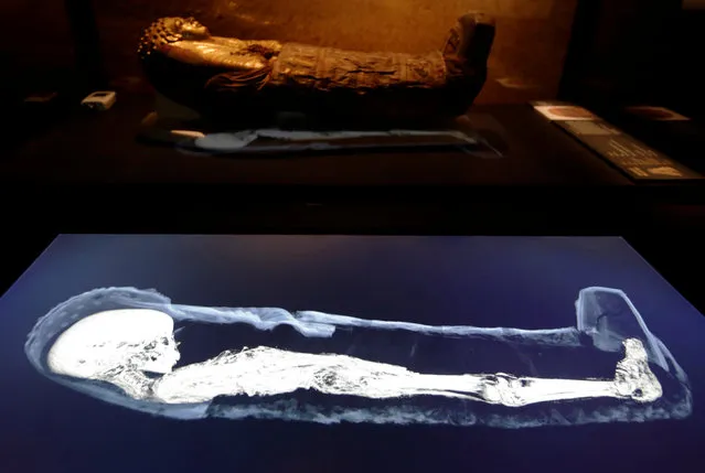 The mummified remains of a 2-3 year old Egyptian boy from the British Museum collection is displayed alongside a CT scan displayed on screens (foreground) revealing the body that lays inside, at the Powerhouse Museum in Sydney, Australia, December 8, 2016. The new exhibit features 3D visualization technology, showcasing six mummies between 1,800 and 3,000 years old which were scanned at the Royal Brompton Hospital in London and are being shown for the first time alongside the mummies themselves. (Photo by Jason Reed/Reuters)