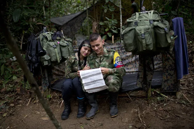 In this January 4, 2016 photo, Juliana, a rebel soldier of the 36th Front of the Revolutionary Armed Forces of Colombia, or FARC, sits her with boyfriend Alexis, in their makeshift tent, inside their hidden camp in Antioquia, Colombia. “Inside the guerrilla we don’t touch money, everything is given to us, from medicine to cigarettes. That’s why there’s no dependency in which she expects me to provide for her as is common in Latin America”, explains Alexis. “Between us there’s just love”. (Photo by Rodrigo Abd/AP Photo)