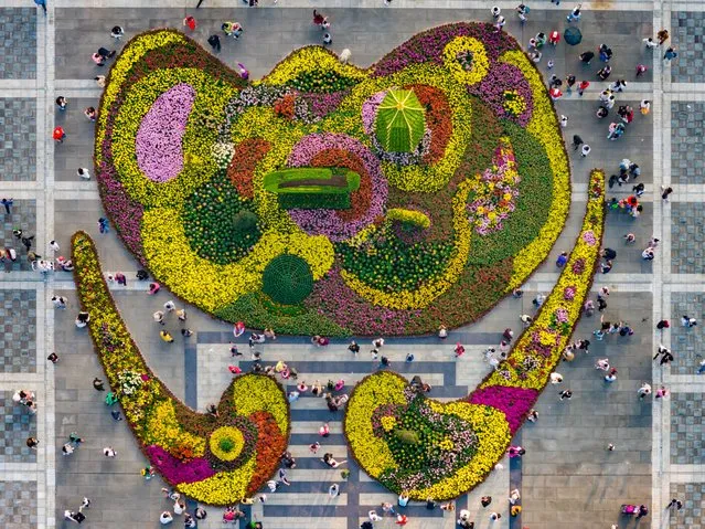 Aerial photo shows tourists playing at the Garden Expo in Chongqing, China on October 29, 2023. (Photo by Costfoto/NurPhoto/Rex Features/Shutterstock)