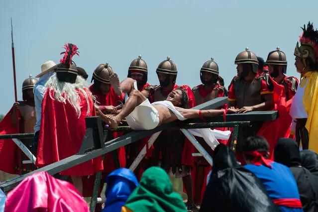 A Catholic devotee nailed to a cross is hoisted by participants during a reenactment of the crucifixion of Christ on Good Friday on April 3, 2015 in San Pedro Cutud village in Pampanga province, Philippines. (Photo by Dondi Tawatao/Getty Images)