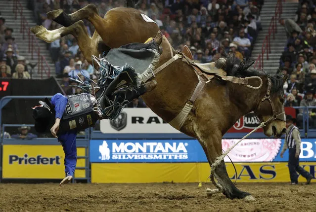 Ryder Wright, of Milford, Utah, is bucked off his horse while competing in the saddle bronc riding event during the seventh go-round of the National Finals Rodeo, Wednesday, December 12, 2018, in Las Vegas. (Photo by John Locher/AP Photo)