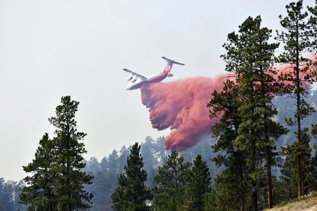 An aircraft drops fire retardant to slow the spread of the Richard Spring fire, east of Lame Deer, Mont., Wednesday, August 11, 2021. The fire spread quickly Wednesday as strong winds pushed the flames across rough, forested terrain. (Photo by Matthew Brown/AP Photo)