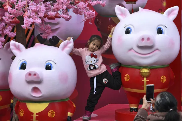 In this January 28, 2019, photo, a Chinese girl poses for a souvenir photo with the cluster of pig sculptures on displayed outside a shopping mall in Nanning in south China's Guangxi Zhuang Autonomous Region. Chinese will celebrate Lunar New Year on Feb. 5 this year which marks the Year of the Pig on the Chinese zodiac. (Photo by Chinatopix via AP Photo)