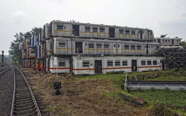 More than 100 trains have been left to rot in the “graveyard”, on February 27, 2015, in Purwakarta, Indonesia. (Photo by HKV/Barcroft Media)