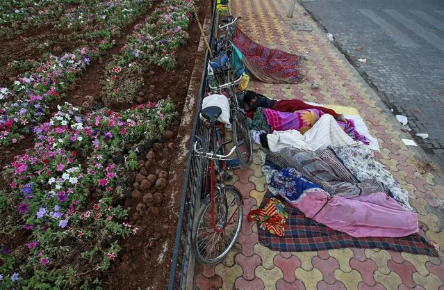 Migrant families sleep on a sidewalk next to flower bed at a road junction in Mumbai, India, March 9, 2016. (Photo by Danish Siddiqui/Reuters)