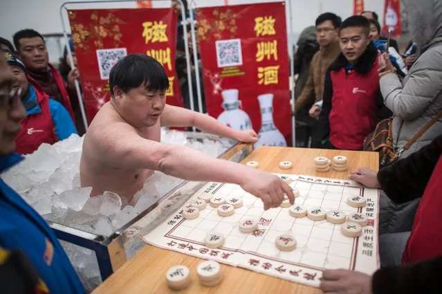Buried waist deep in ice for more than an hour wearing nothing but a pair of swimming shorts, the man known in China as “Polar Bear”, Cui Deyi, plays mahjong on January 16, 2016 in Handan, Hebei province. (Photo by Fred Dufour/Getty Images)