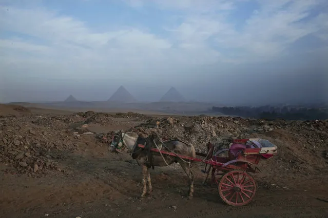 A horse carriage stands backdropped by the Pyramids of Giza, Egypt, Thursday, November 17, 2016. Egypt is currently suffering an acute foreign currency shortage because of the decimation of its lucrative tourism industry, double digit rates of inflation and unemployment. (Photo by Nariman El-Mofty/AP Photo)