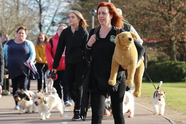 Dogs and owners arrive for the first day of Crufts Dog Show at NEC Arena on March 09, 2017 in Birmingham, England. First held in 1891, Crufts is said to be the largest show of its kind in the world, the annual four-day event, features thousands of dogs, with competitors travelling from countries across the globe to take part and vie for the coveted title of “Best in Show”. (Photo by Matt Cardy/Getty Images)