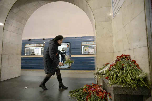 A woman places flowers in honour of the victims of the April 3 blast on the platform of Technological Institute metro station in Saint Petersburg on April 4, 2017. Russian authorities on Tuesday confirmed that a suicide bomber was behind the explosion that killed 14 people on a busy metro line in Saint Petersburg Monday. (Photo by Olga Maltseva/AFP Photo)