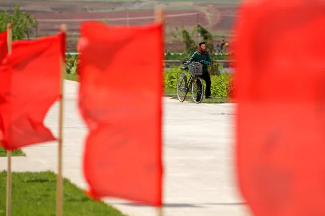 A woman pushes her bicycle at Jangchon Vegetable Co-op farm just outside Pyongyang, North Korea May 4, 2016. (Photo by Damir Sagolj/Reuters)