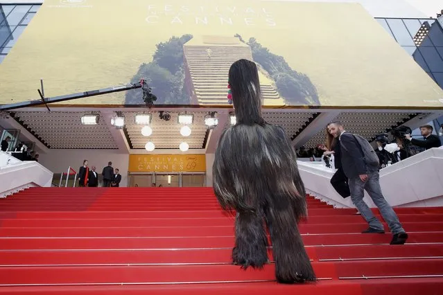 A giant puppet from the film walks on the red carpet after the screening of the film “Toni Erdmann” in competition at the 69th Cannes Film Festival in Cannes, France, May 14, 2016. (Photo by Eric Gaillard/Reuters)