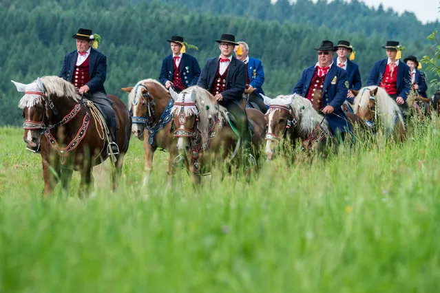 Participants in traditional Whitsun celebrations ride horses during a mounted procession near Bad Koetzing, Germany, 5 June 2017. Around 900 riders took part in the procession, a seven kilometre route from Bad Koetzing to the Saint Nicholas Church in Steinbuehl. (Photo by Armin Weigel/DPA/Bildfunk)