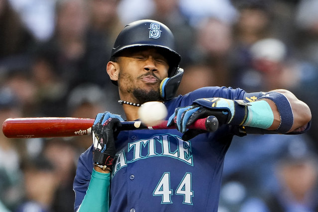 Seattle Mariners' Julio Rodríguez winces at a close ball after pulling back from a bunt attempt against the Tampa Bay Rays during the fourth inning of a baseball game, Tuesday, August 27, 2024, in Seattle. (Photo by Lindsey Wasson/AP Photo)