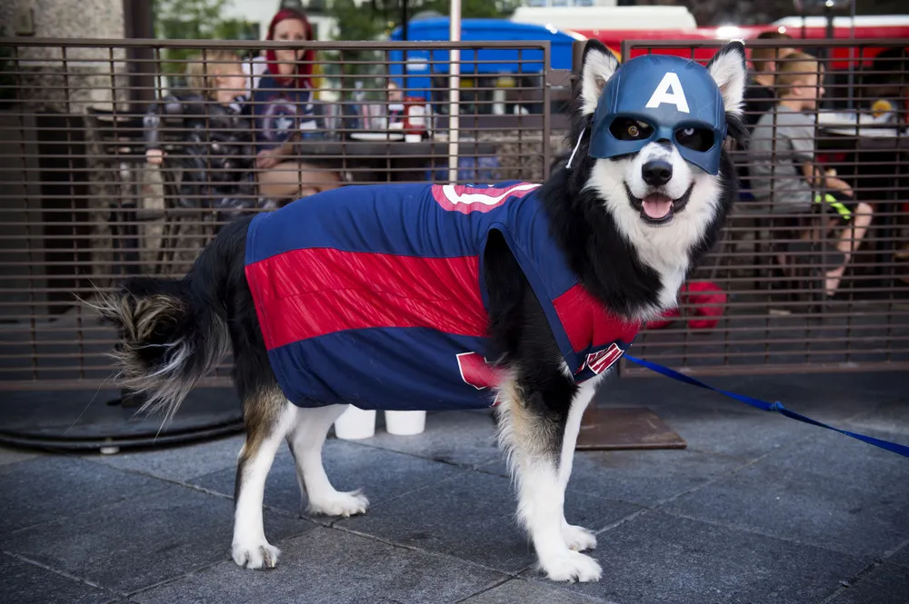 Denver Comic Con through the Years