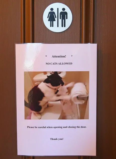 A sign hangs on the door of a toilet at Cat Cafe Melbourne on July 25, 2014 in Melbourne, Australia. Cat Cafe Melbourne is Australias first cat cafe. The cafe has several cats from rescue shelters which live at the premises. Patrons can watch and play with the cats while enjoying a coffee. Cat Cafes are becoming known world wide, the first opening in Taiwan in 1998. (Photo by Scott Barbour/Getty Images)