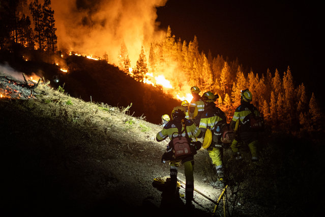 Agents of EIRIF, a unit in charge of the Government of the Canary Islands, work at night to extinguish the forest fire declared on the island of Tenerife, Canary Islands on August 16, 2023. The Tenerife fire continues out of control: more than 1,800 hectares affected and 150 people evacuated. (Photo by Andres Gutierrez/Anadolu Agency via Getty Images)