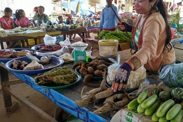In this undated photo released by the World Wildlife Fund, a woman displays monitor lizards, squirrels and wild birds for sale at an open air market in Attapeu, Laos. A report released by the World Wildlife Fund, Friday, April 1, 2022, shows illegal purchases of wildlife online are growing in Myanmar in a threat both to public health and to endangered species. (Photo by K. Yoganand/World Wildlife Fund via AP Photo)