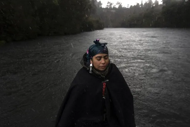 Millaray Huichalaf, a Mapuche machi, or healer and spiritual guide, rides in a boat on the Pilmaiquen River in Los Rios, southern Chile, on Tuesday, July 12, 2022. During years of training to become a machi, she started having dreams about Kintuantü, a ngen, or protector spirit, living by a broad bend of the Pilmaiquen. “Through dreams and visions in trance, Kintuantü told me that I had to speak for him because he was dying”, Huichalaf says. (Photo by Rodrigo Abd/AP Photo)