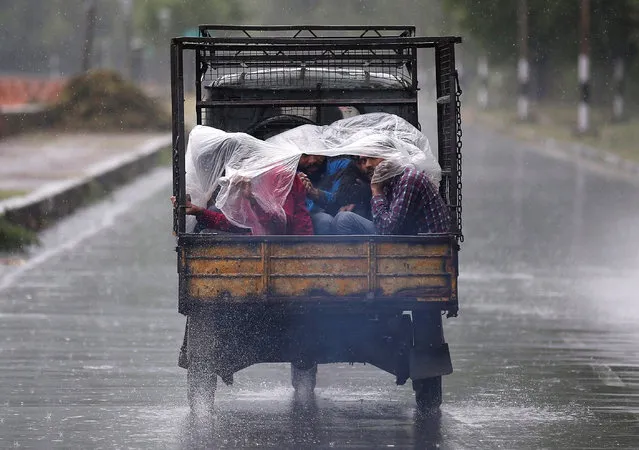 People use a plastic sheet to take cover from the rain as they travel in the back of an auto rickshaw in Srinagar July 27, 2016. (Photo by Danish Ismail/Reuters)