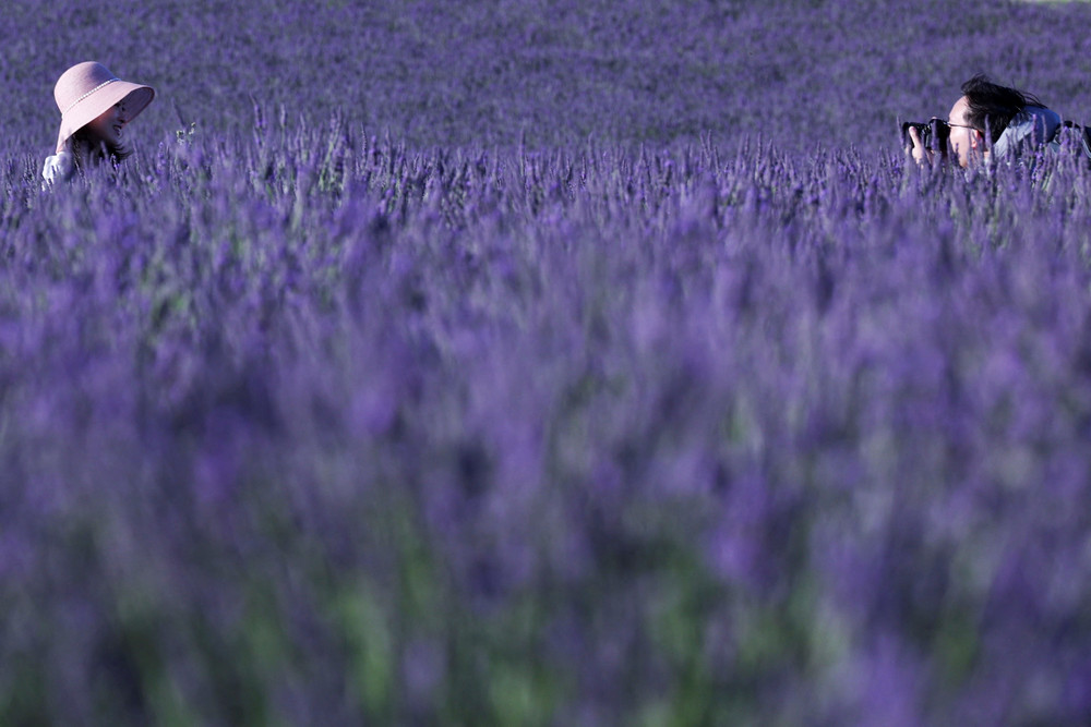 Some Photos: In Flowers