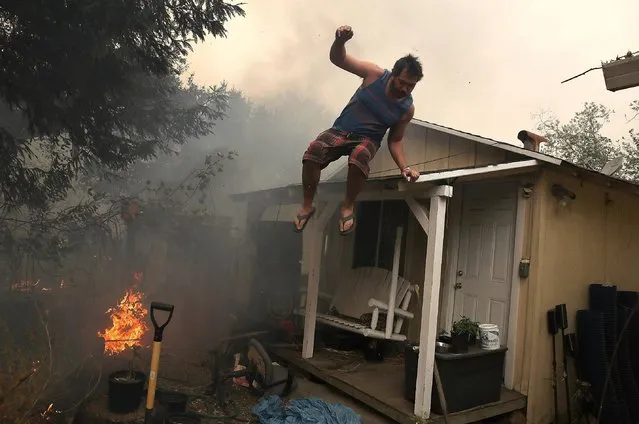 A resident rushes to save his home as an out of control wildfire moves through the area on October 9, 2017 in Glen Ellen, California. Tens of thousands of acres and dozens of homes and businesses have burned in widespread wildfires that are burning in Napa and Sonoma counties. (Photo by Justin Sullivan/Getty Images)