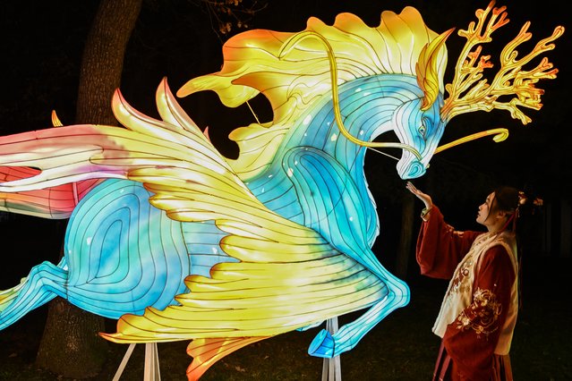 A woman gestures next to an illumination displayed as part of the “Dragons and lanterns” festival at the “Jardin d'Acclimatation” in Paris on December 14, 2023. The celebrated lantern show in Shanghai's Yuyuan Garden, a staple in the city's Chinese Lunar New Year celebrations for 28 years, will be held in Paris, France for the first time. The lantern festival was one of the most important occasions for the new year celebration in ancient China, and is listed as a national intangible cultural heritage. (Photo by Bertrand Guay/AFP Photo)