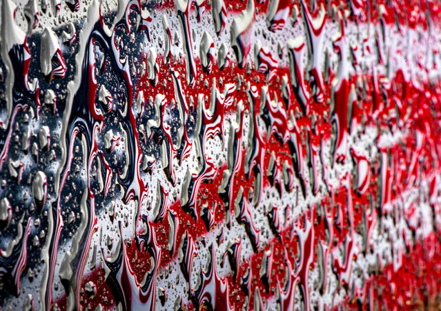 A newly replaced America flag, is reflected in the hood of a black SUV, during a break in the rain in Placentia, California on March 12, 2025. (Photo by Bruce Chambers/ZUMA Press Wire/Rex Features/Shutterstock)