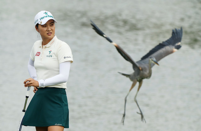 Minjee Lee of Australia looks on from the third green during the second round of The Chevron Championship 2025 at The Club at Carlton Woods on April 25, 2025 in The Woodlands, Texas. (Photo by Sarah Stier/Getty Images)