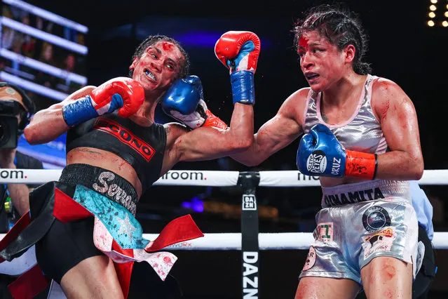 Amanda Serrano (L) punches Erika Cruz during their fight for Serrano, WBC, WBO and IBF featherweight titles and Cruz's WBA featherweight title at The Hulu Theater at Madison Square Garden on February 04, 2023 in New York City. (Photo by Ed Hulholland/Matchroom Boxing/Inpho)