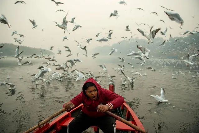A man rides a boat as Seagulls fly over the waters of river Yamuna in New Delhi, India on November 8, 2020. A flock of Seagulls fly along the Yamuna River at Nigam Bodh Ghat. During the onset of winter season, flocks of Siberian seagulls migrate through Delhi making a temporary home at the river Ganga and Yamuna. This place is a haven for bird watchers and photographers. During morning hours birds are often fed by devotees who arrive to bathe at the river. (Photo by Pradeep Gaur/SOPA Images/LightRocket via Getty Images)
