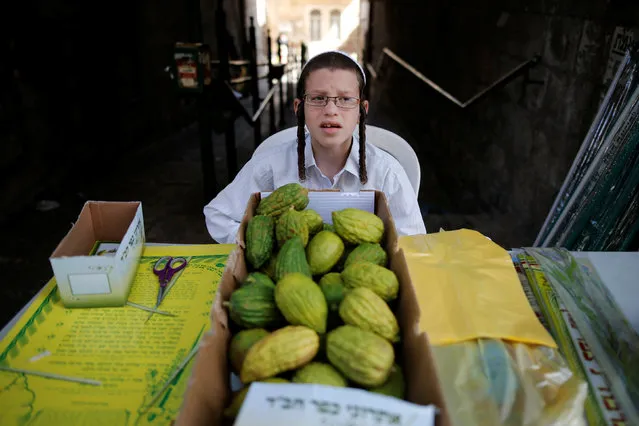 An ultra-Orthodox Jewish youth sits next to etrogs, citrus fruit used in rituals performed during the upcoming Jewish holiday of Sukkot, which begins at sunset on Sunday, in Jerusalem's Mea Shearim neighbourhood October 16, 2016. (Photo by Amir Cohen/Reuters)