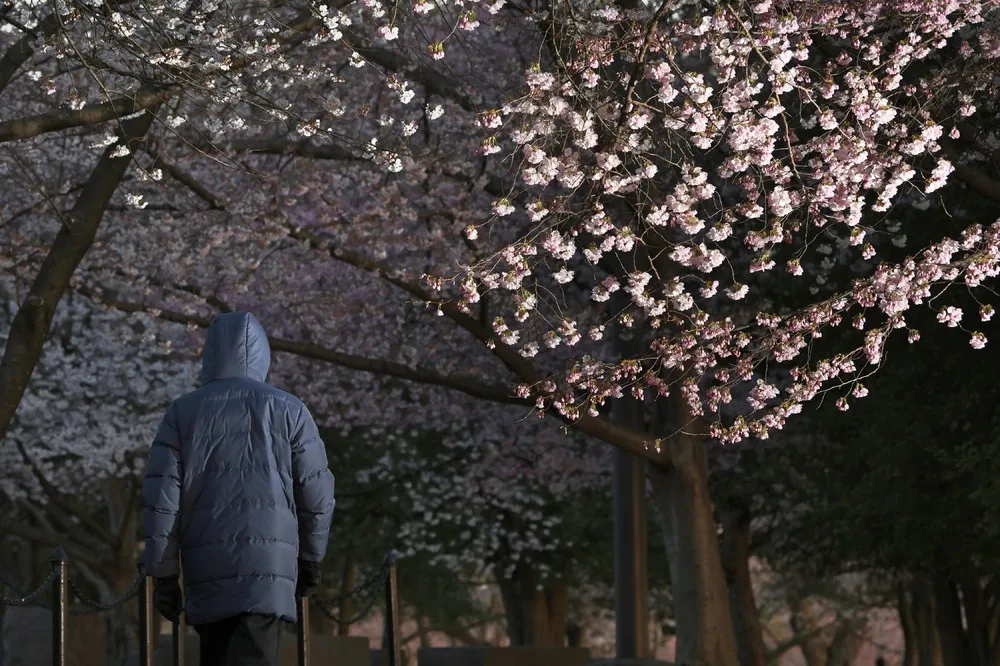 People in the Landscape